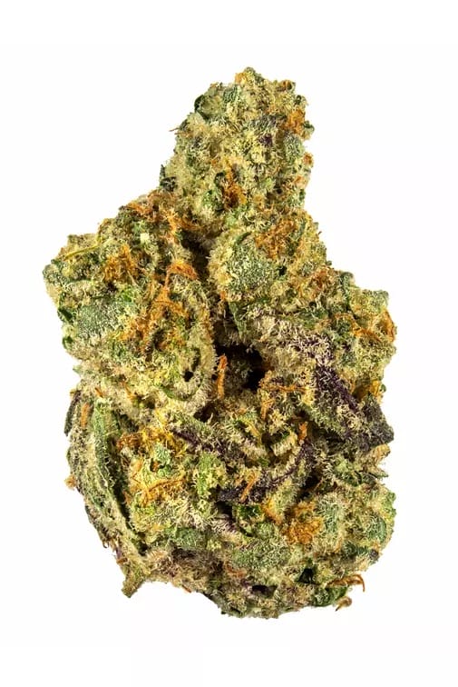 bud cannabis flower from gary payton strain